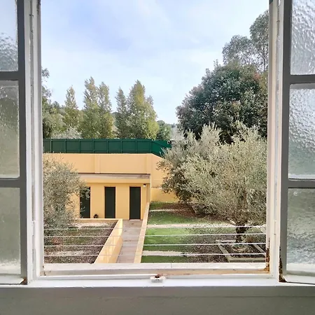 Bright, Spacious And Well-located, By Timecooler Apartment Lisbon
